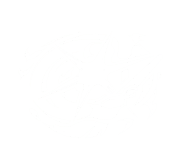 Signet of Stars