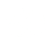 Signets of Helix